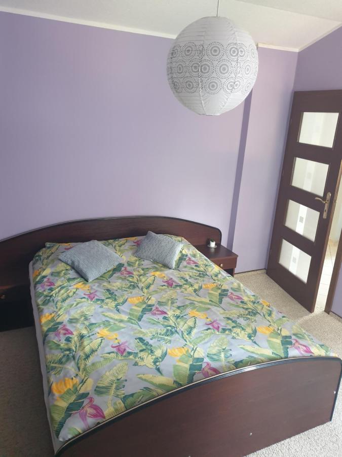 Apartament Pod Sosnami 1 Noclegi Otw Borowno Wlk Skarszewy Bagian luar foto